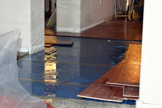 Professional Basement Flood Cleanup technician working in Littleton, MA